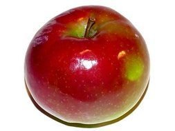 red fresh big Apple drawing