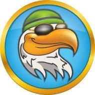 Eagle Scout Badge N4