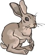 Rabbit Clipart N3