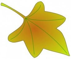 Herfst Blad Vector Illustraties