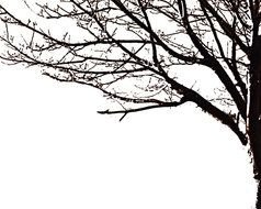 tree dark silhouette drawing