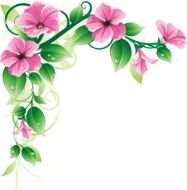 Pink Flower Border Clip Art N17