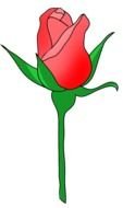 drawing of a red rose with a green stem on a white background