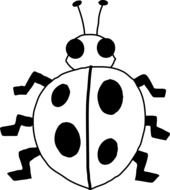 Black And White Ladybug as a graphic illustration