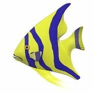 Animated Moving Fish N5