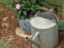 Watering Can With Flowers clip art