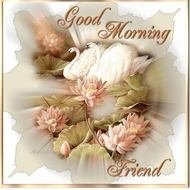 Good Morning Friend
