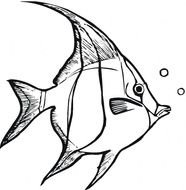 Tropical Fish Coloring Pages N3