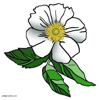 Georgia State Flower Clip Art N2