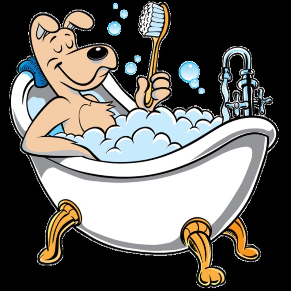 Dog Bath Clip Art N16 free image download