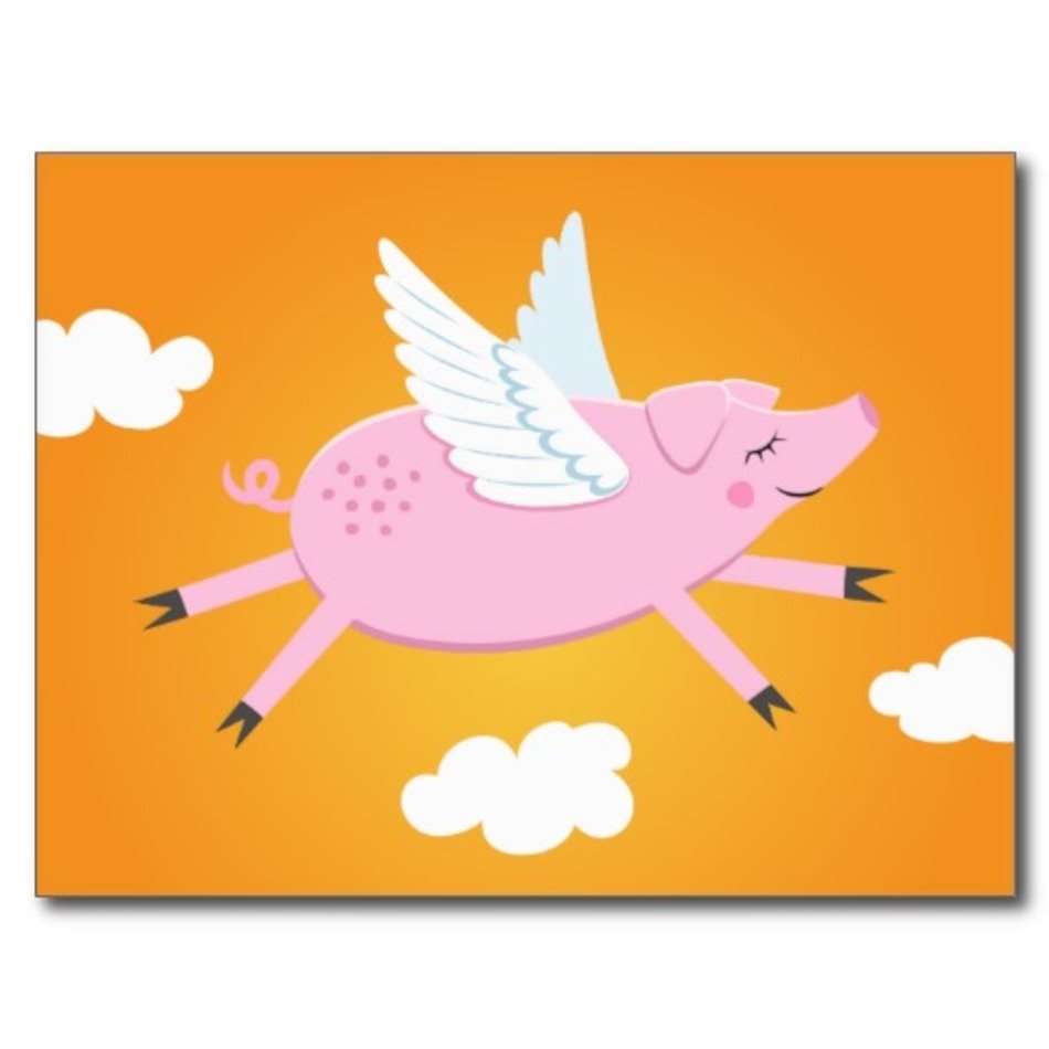 Cartoon Flying Pigs N10