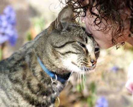 Cat Love