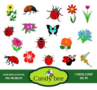 Ladybug Clipart Insect Clip Art Flowers And Leaf Commerical