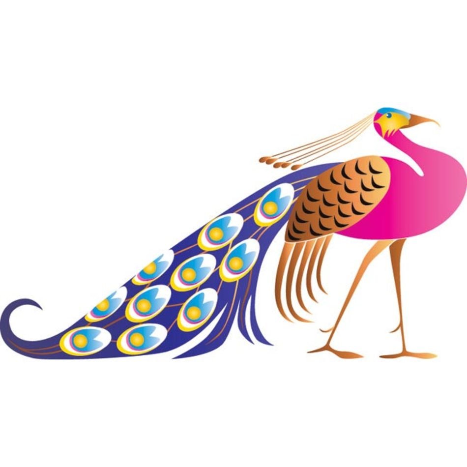 Peacock Vector Art N2