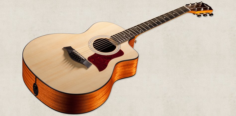 isolated taylor guitar