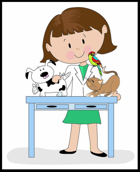 Vet Clip Art N13