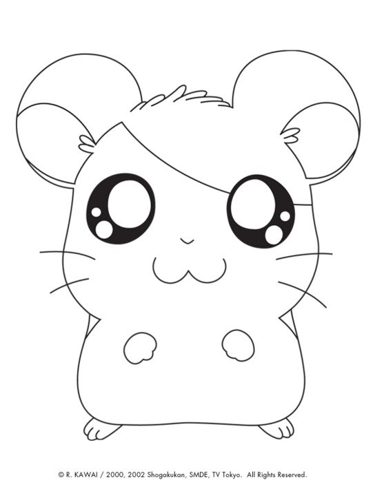Cute Animal Coloring Pages N5