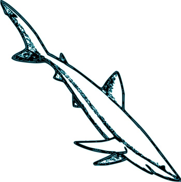 Blue Shark Clip Art N14