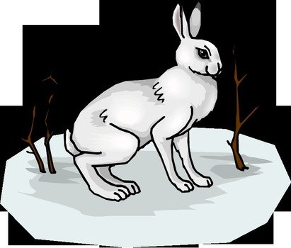 Rabbit Clipart N2