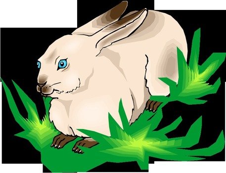 Rabbit Clip Art N72