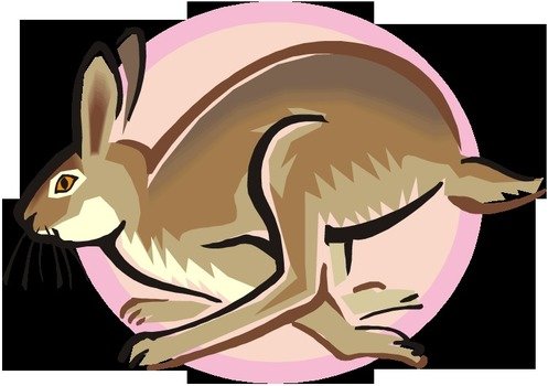 Rabbit Clip Art N73