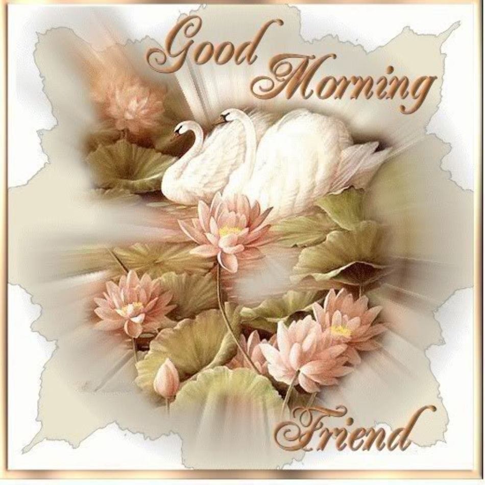 Good Morning Friend