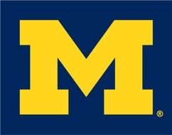 Michigan Wolverines Logo N11