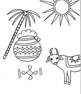 Pongal Coloring Pages drawing