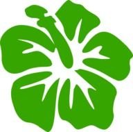 Hawaiian Luau Flower Clip Art N2