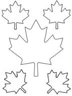 Maple Leaf Template Printable drawing