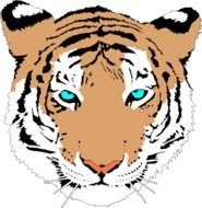 Tiger Cartoon Clip Art N26