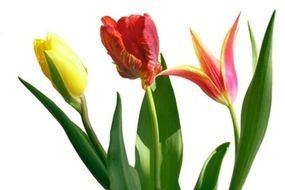 Spring Wedding Flower Arrangement Ideas
