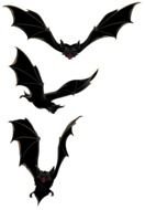 Bats Clipart