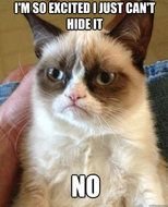 Grumpy Cat Meme N5