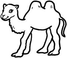Camel Coloring Pages drawing