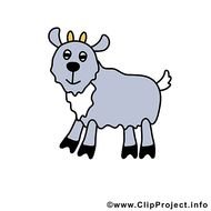 Bildtitel Ziege Bild Clipart Bauernhof