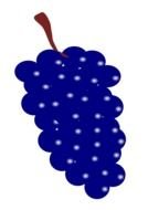 blue grapes as a graphic image