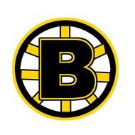 Boston Bruins Logo N11