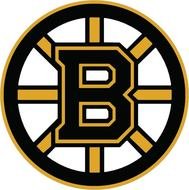 Boston Bruins Logo N13