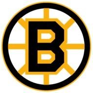 Boston Bruins Logo N16