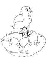 Bird Coloring Pages drawing