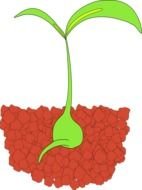 Plant Seeds Clip Art drawing