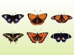 Pretty Butterflies drawing