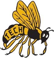 Georgia Tech Yellow Jackets Logo N6