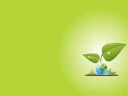 eco friendly green desktop