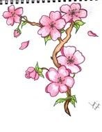 Flower Drawings N3
