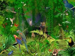 image of many animals in the green jungle