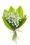 Clip Art of the flower bouquet