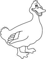 Black And White Duck as graphic illustration