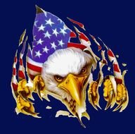 American Eagle Graphics